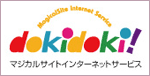 �C���^�[�l�b�g�T�[�r�Xdokidoki!