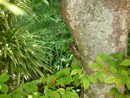 �������������\���グ�܂�