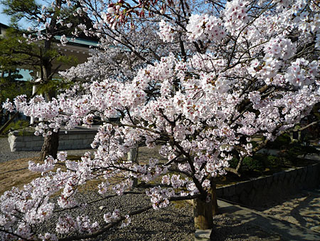 ���{�̏t�ł���