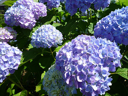 �~�J�x�x�H