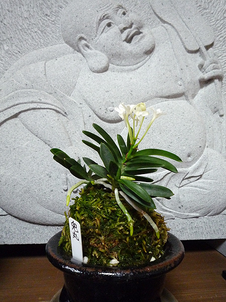 ���N���炫�n�߂܂���