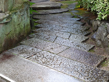 ���߂đł���