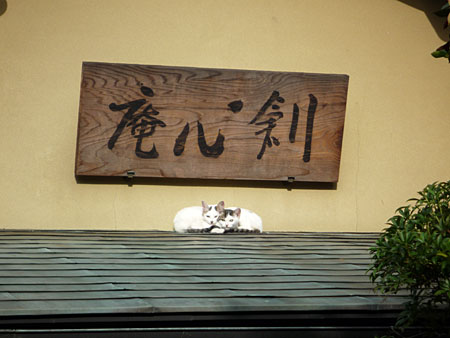 �H���̌ߌ�