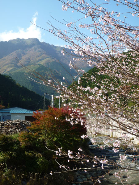 �Ԍ��ƍg�t���