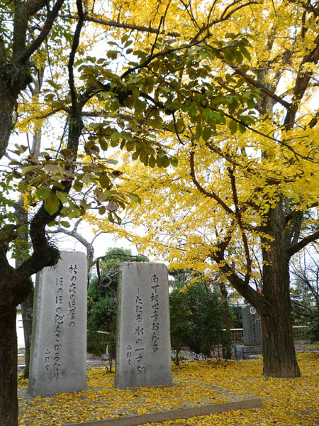 �����܂��̓C�`���E