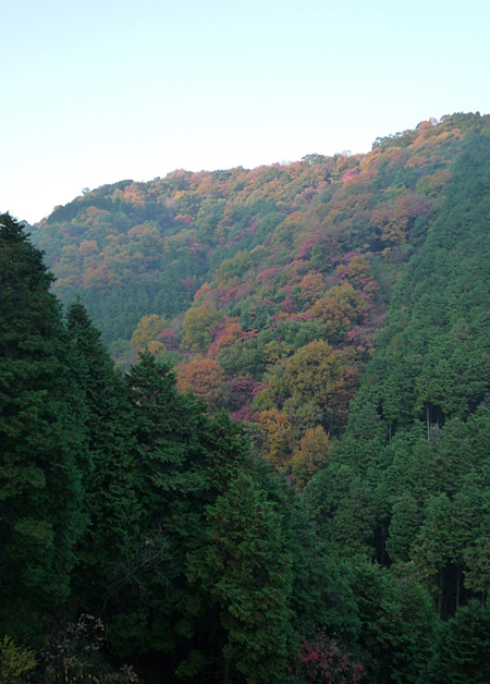 ���N����������