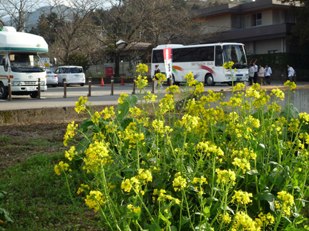 ���낻�도��̋G��