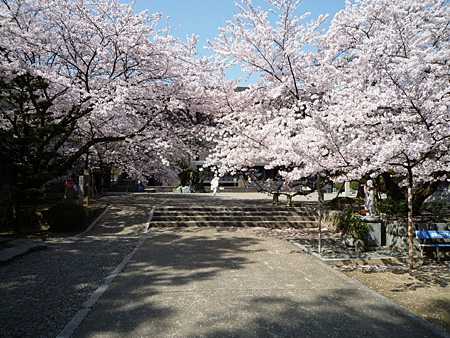 �t�܂��t�I