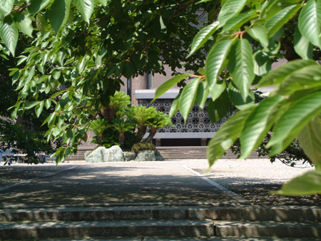 ���āE�������ɗ΂��Ⴆ��