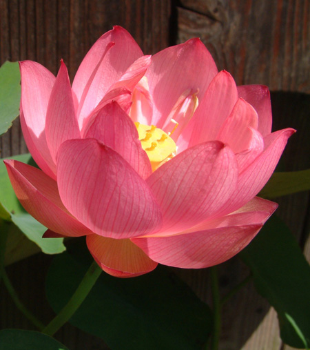 ���~���ł���