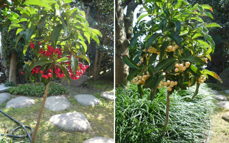 �������g���ő����܂����I