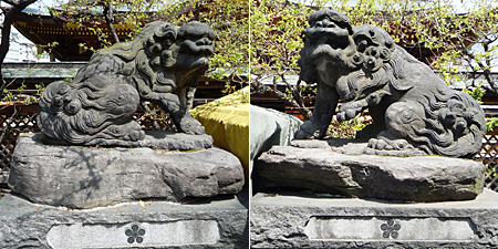 �E�l�C���������Ă��܂�