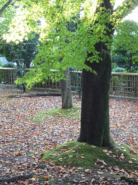 �H�@�[���ؘR���