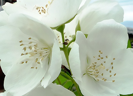 �J�h��E�E�E