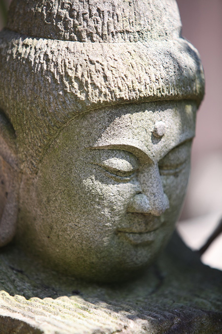 �~�J�̐���ԁ@���ɂ�