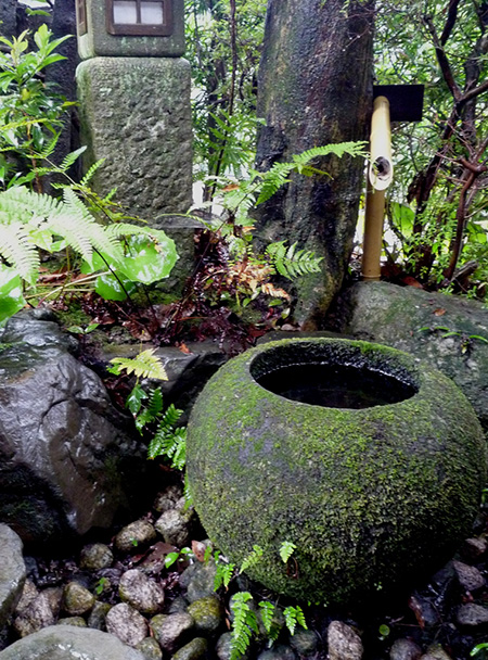 �~�J�͖������̂�