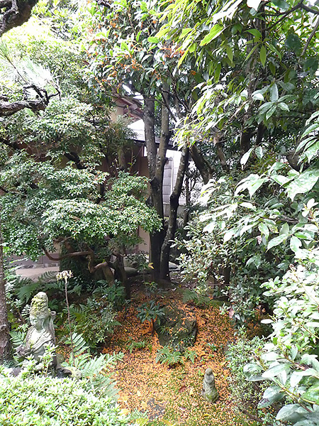 今年は早い金木犀