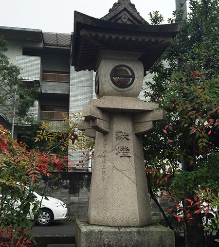 ボリューミーです