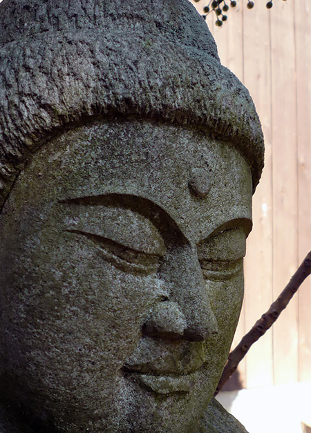 秋の陽を横目で