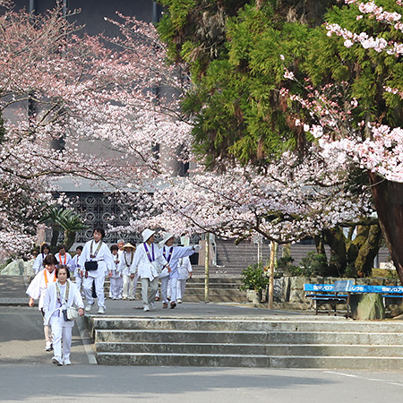 季節は花遍路