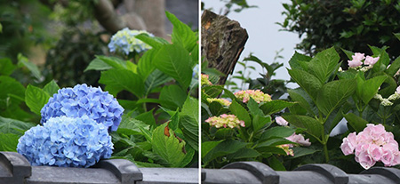 間近に<br />梅雨の足音