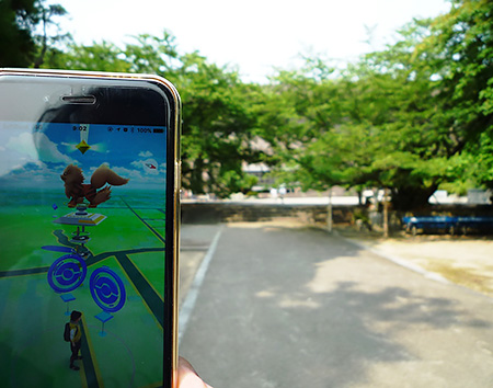 四国霊場もこの通り（苦笑）