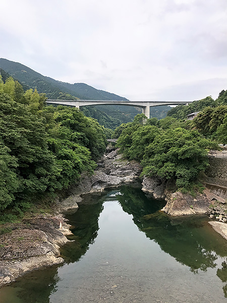 そろそろ梅雨入り