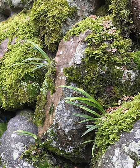 まだ寒い・・・