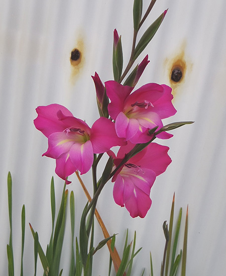 ようやく少し春