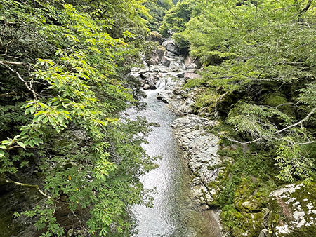 山中清涼