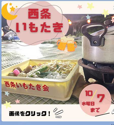 やっぱり毎年1度は
